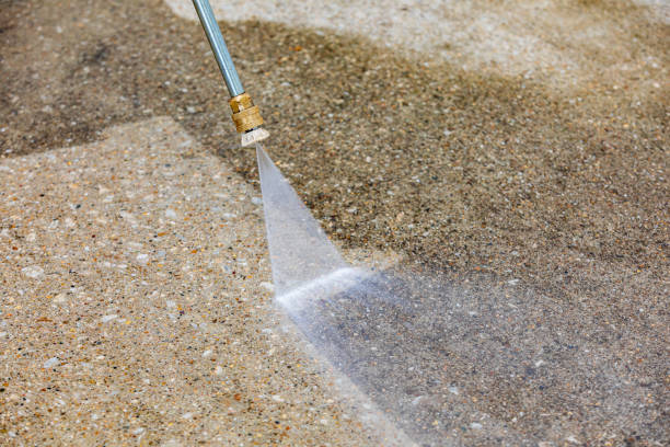 Best House Exterior Washing  in Leadville, CO