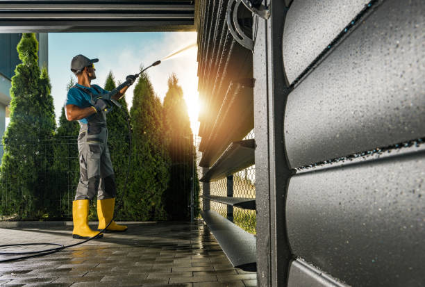 Best Roof Washing  in Leadville, CO